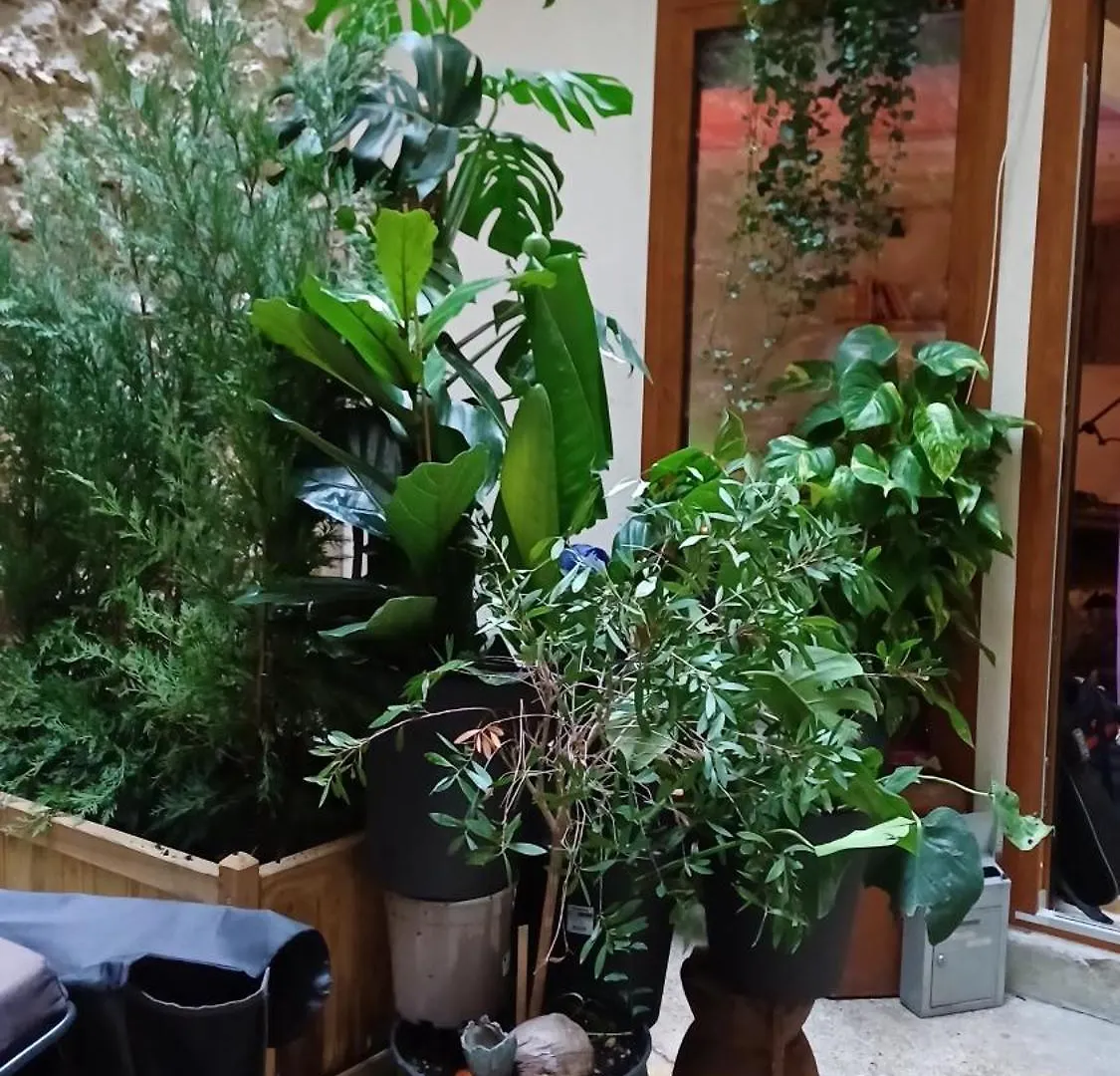 Boheme Dans Le 5E Daire Paris Fransa